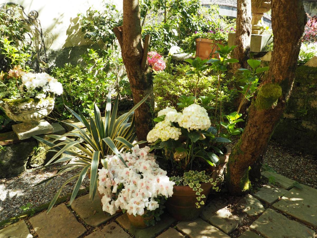 Casa Ella Bed & Breakfast Бани ди Лука Екстериор снимка